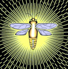 Lumina&trade; Honey & Hive Products